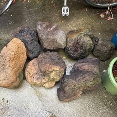 庭石の画像