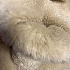 未使用L outdoor フリース長袖の画像