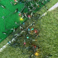 クリスマスツリーの画像