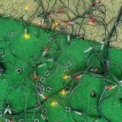 クリスマスツリーの画像