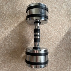 コアブレード クロームダンベル10kgの画像