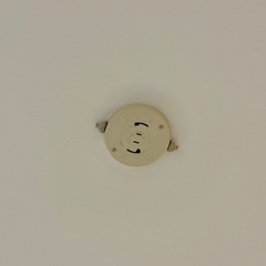 アイリスオーヤマ製シーリングライトの画像