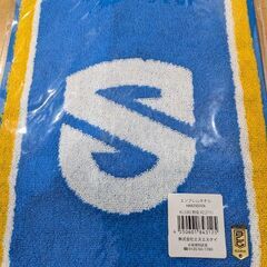 新品未開封　滋賀レイクス　エンブレムタオルの画像