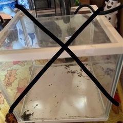 水槽色々の画像