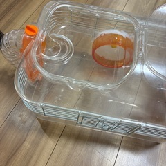 ハムスター　ケージ　ジャンガリアンの画像