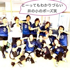井之頭小同好会バレーボールメンバー募集！一緒に汗を流しませんか？
