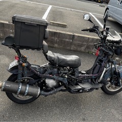 バーグマンカスタムの画像