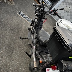 バーグマンカスタムの画像