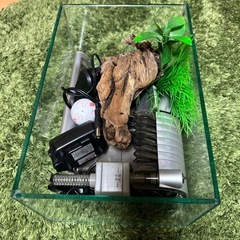 メダカ飼育セットの画像