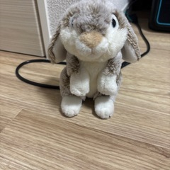 めいぐるみ　2体の画像