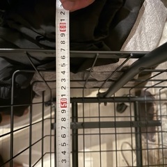 ランドリーカートの画像