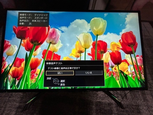 Panasonic VIERA パナソニック