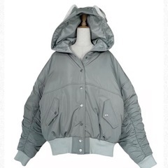 フーディーダウンジャケットの画像
