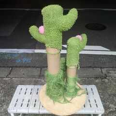 🍎猫 キャットタワーの画像