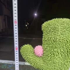 🍎猫 キャットタワーの画像