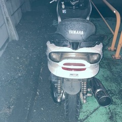 ヤマハコマジェの画像