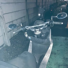 ヤマハコマジェの画像