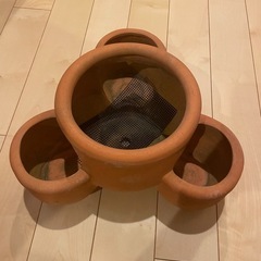 ストロベリーポットの画像