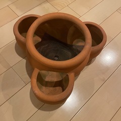 ストロベリーポットの画像