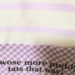 彡Tweety トゥイーティーエプロンの画像