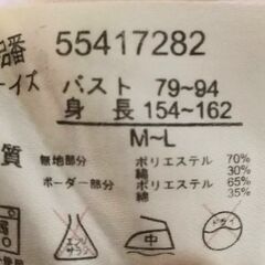 彡Tweety トゥイーティーエプロンの画像