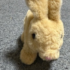 使われていない子供のおもちゃの画像