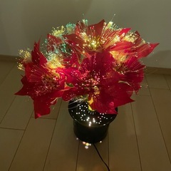 クリスマスポインセチアの画像