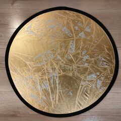 収納袋付き円形レフ板 シルバー ゴールド結婚式前撮りの画像