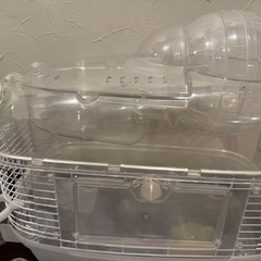 ハムスタースターターキット
の画像
