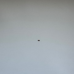 IKEA デスクの画像