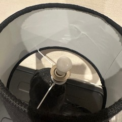 フレンチブルドッグの照明の画像