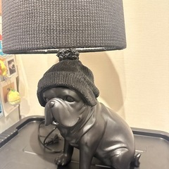 フレンチブルドッグの照明の画像