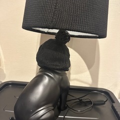 フレンチブルドッグの照明の画像