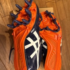 男児　  スパイクの画像