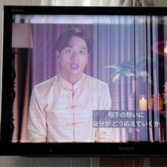 【ジャンク品】SONY 液晶テレビの画像