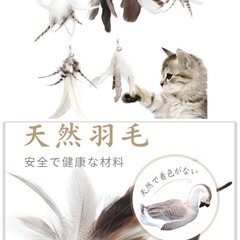 猫　こたつ　ペット寝具　猫じゃらし　餌台　の画像