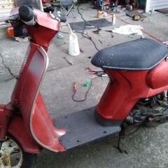 今月売り切り‼️　タクテイ　実働の画像