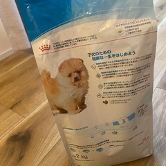 ロイヤルカナン　室内犬パピー用　2kg ドッグフードの画像