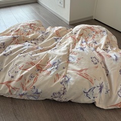 【東洋紡】羽毛布団　の画像