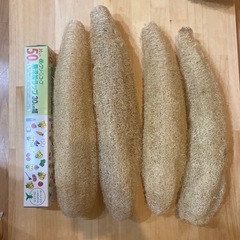 ヘチマ　たわし 大小30本ほど　の画像