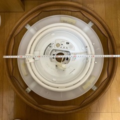 照明　ツインパルック100形の画像