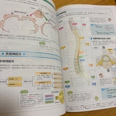 看護がみえるvol.3の画像