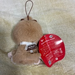 モンチッチの画像