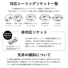 ムーンライト コード30センチの画像