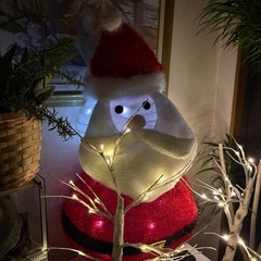 白樺のイルミネーション
ツリーとおまけのサンタさん。の画像