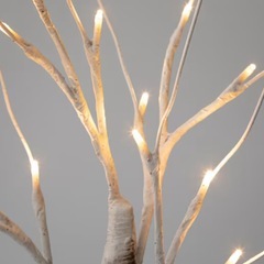 白樺のイルミネーション
ツリーとおまけのサンタさん。の画像