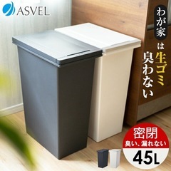 【美品】45L リットル　ゴミ箱　の画像