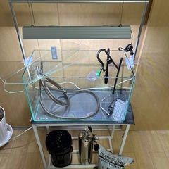 アクアリウム 水草水槽 一式