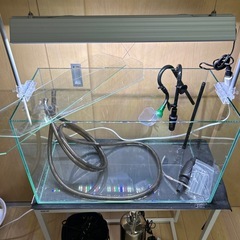 アクアリウム 水草水槽 一式の画像