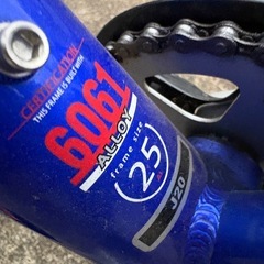 ルイガノ　子供用自転車20インチ、2019年モデルの画像